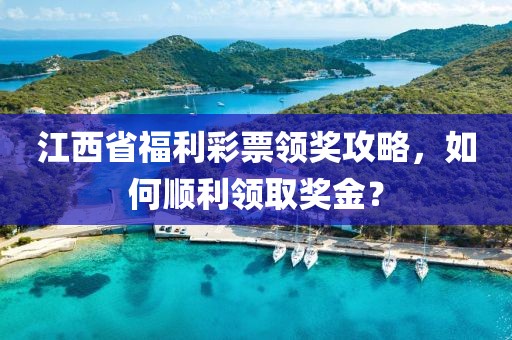 江西省福利彩票领奖攻略，如何顺利领取奖金？