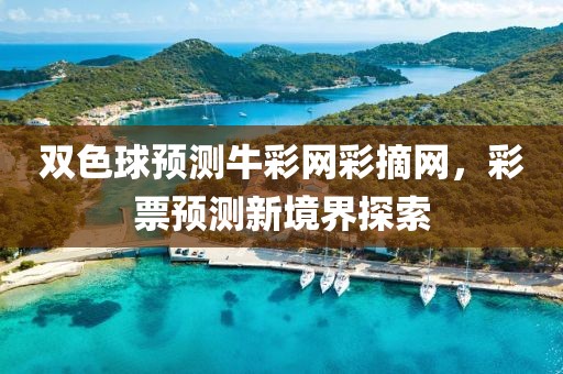 双色球预测牛彩网彩摘网，彩票预测新境界探索