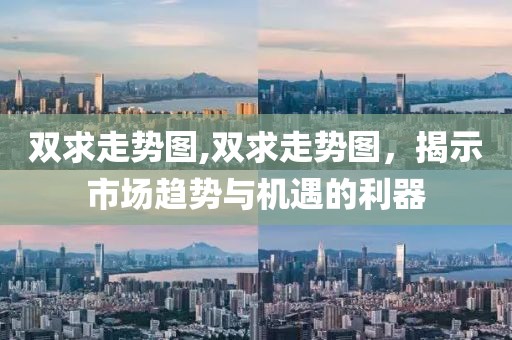 双求走势图,双求走势图，揭示市场趋势与机遇的利器