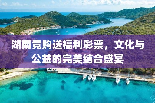 湖南竞购送福利彩票，文化与公益的完美结合盛宴