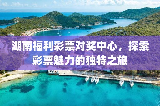 湖南福利彩票对奖中心，探索彩票魅力的独特之旅