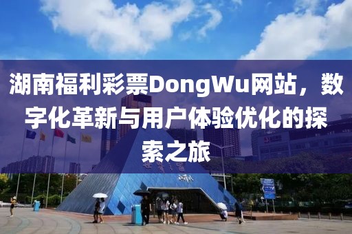 湖南福利彩票DongWu网站，数字化革新与用户体验优化的探索之旅