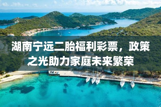 湖南宁远二胎福利彩票，政策之光助力家庭未来繁荣