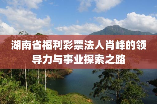 湖南省福利彩票法人肖峰的领导力与事业探索之路