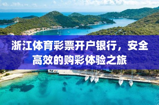 浙江体育彩票开户银行，安全高效的购彩体验之旅