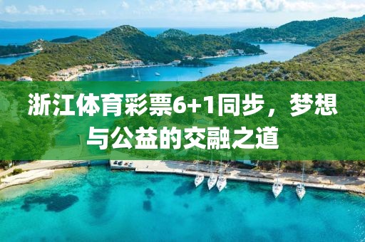 浙江体育彩票6+1同步，梦想与公益的交融之道