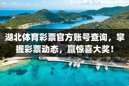 湖北体育彩票官方账号查询，掌握彩票动态，赢惊喜大奖！