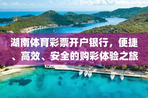 湖南体育彩票开户银行，便捷、高效、安全的购彩体验之旅