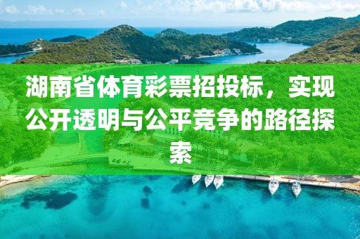 湖南省体育彩票招投标，实现公开透明与公平竞争的路径探索