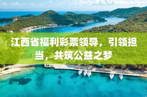 江西省福利彩票领导，引领担当，共筑公益之梦